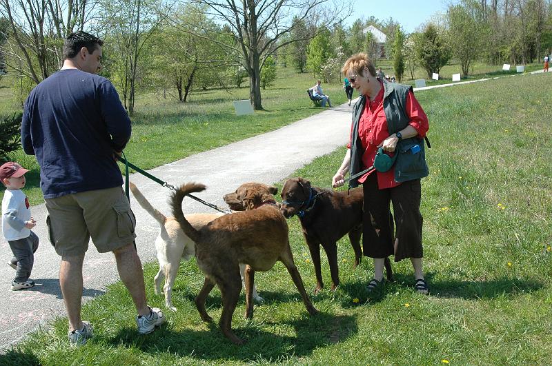 NAMIWalk07 (285) 